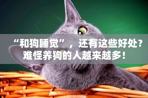 “和狗睡覺”，還有這些好處？難怪養狗的人越來越多！