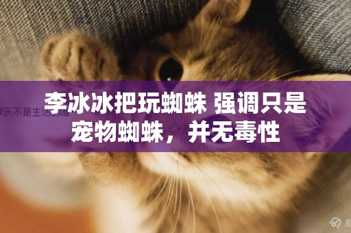 李冰冰把玩蜘蛛 強調只是寵物蜘蛛，并無毒性