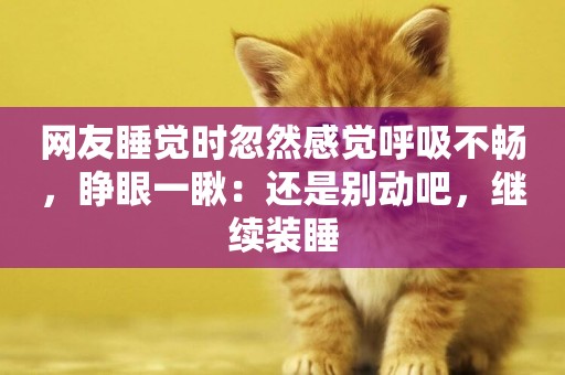 網友睡覺時忽然感覺呼吸不暢，睜眼一瞅：還是別動吧，繼續裝睡
