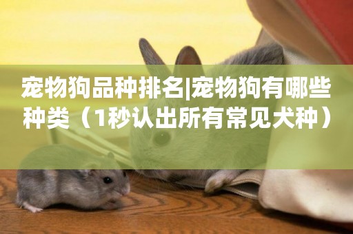 寵物狗品種排名|寵物狗有哪些種類（1秒認出所有常見犬種） 