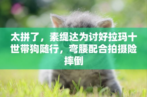 太拼了，素緹達為討好拉瑪十世帶狗隨行，彎腰配合拍攝險摔倒