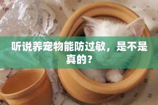 聽說養寵物能防過敏，是不是真的？