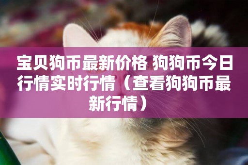 寶貝狗幣最新價格 狗狗幣今日行情實時行情（查看狗狗幣最新行情） 