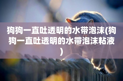 狗狗一直吐透明的水帶泡沫(狗狗一直吐透明的水帶泡沫粘液)