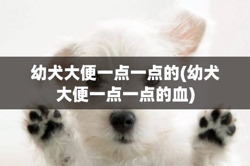 幼犬大便一點一點的(幼犬大便一點一點的血)
