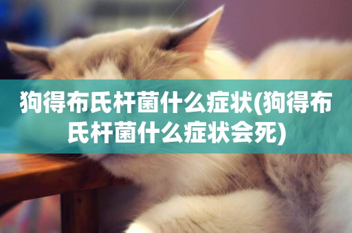 狗得布氏桿菌什么癥狀(狗得布氏桿菌什么癥狀會死)