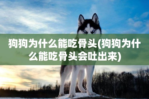 狗狗為什么能吃骨頭(狗狗為什么能吃骨頭會吐出來)