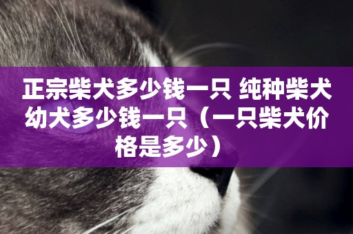 正宗柴犬多少錢一只 純種柴犬幼犬多少錢一只（一只柴犬價格是多少） 