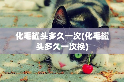 化毛罐頭多久一次(化毛罐頭多久一次換)