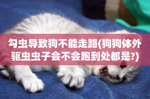 勾蟲導致狗不能走路(狗狗體外驅蟲蟲子會不會跑到處都是?)