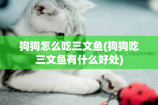 狗狗怎么吃三文魚(狗狗吃三文魚有什么好處)