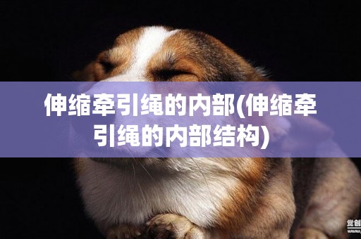 伸縮牽引繩的內部(伸縮牽引繩的內部結構)