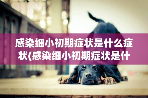 感染細小初期癥狀是什么癥狀(感染細小初期癥狀是什么癥狀圖片)