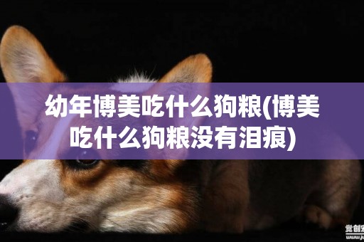 幼年博美吃什么狗糧(博美吃什么狗糧沒有淚痕)