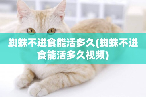蜘蛛不進食能活多久(蜘蛛不進食能活多久視頻)