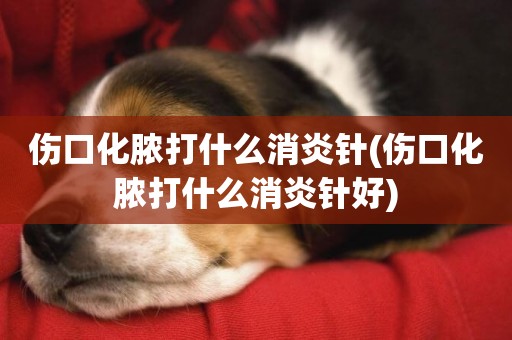 傷口化膿打什么消炎針(傷口化膿打什么消炎針好)