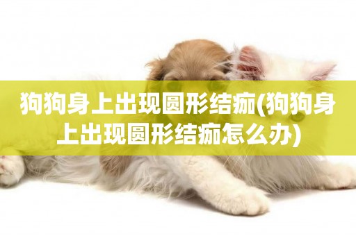 狗狗身上出現圓形結痂(狗狗身上出現圓形結痂怎么辦)
