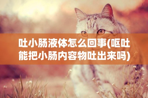 吐小腸液體怎么回事(嘔吐能把小腸內容物吐出來嗎)