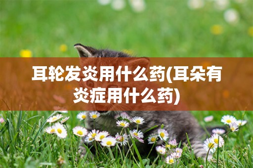 耳輪發炎用什么藥(耳朵有炎癥用什么藥)
