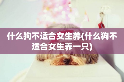 什么狗不適合女生養(什么狗不適合女生養一只)