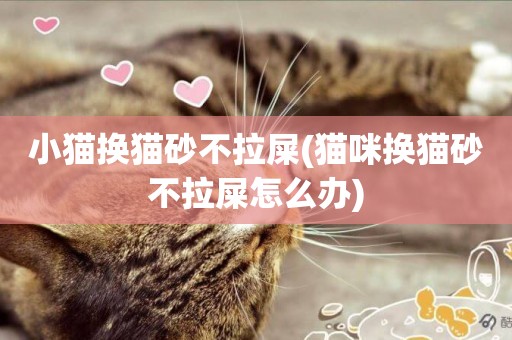 小貓換貓砂不拉屎(貓咪換貓砂不拉屎怎么辦)