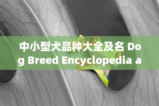 中小型犬品種大全及名 Dog Breed Encyclopedia and Introduction（常見寵物狗百科全書：品種、介紹、價格） 