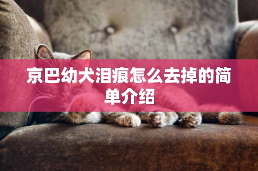 京巴幼犬淚痕怎么去掉的簡單介紹