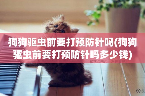 狗狗驅蟲前要打預防針嗎(狗狗驅蟲前要打預防針嗎多少錢)