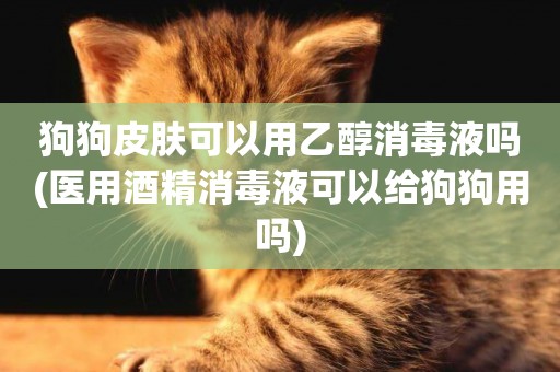 狗狗皮膚可以用乙醇消毒液嗎(醫用酒精消毒液可以給狗狗用嗎)