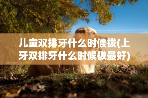 兒童雙排牙什么時候拔(上牙雙排牙什么時候拔最好)