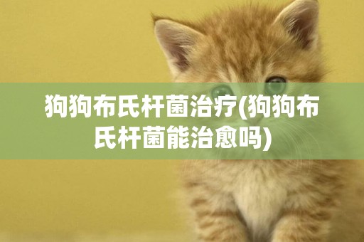 狗狗布氏桿菌治療(狗狗布氏桿菌能治愈嗎)