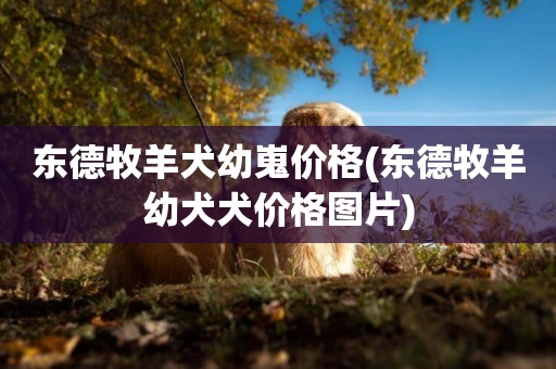 東德牧羊犬幼嵬價格(東德牧羊幼犬犬價格圖片)