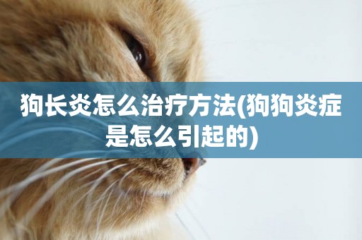 狗長炎怎么治療方法(狗狗炎癥是怎么引起的)
