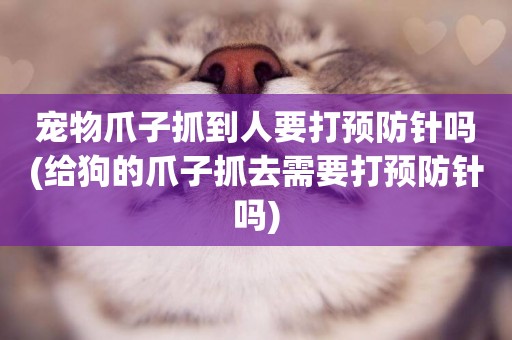 寵物爪子抓到人要打預防針嗎(給狗的爪子抓去需要打預防針嗎)