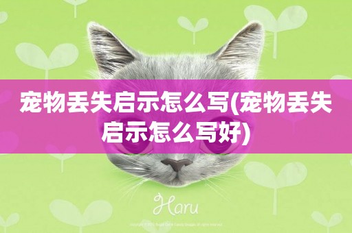 寵物丟失啟示怎么寫(寵物丟失啟示怎么寫好)