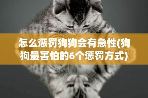 怎么懲罰狗狗會有急性(狗狗最害怕的6個懲罰方式)