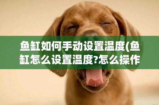 魚缸如何手動設置溫度(魚缸怎么設置溫度?怎么操作)