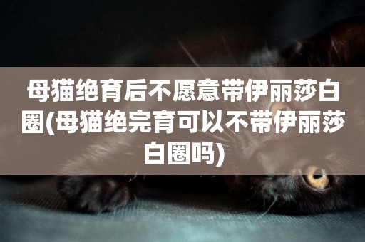 母貓絕育后不愿意帶伊麗莎白圈(母貓絕完育可以不帶伊麗莎白圈嗎)
