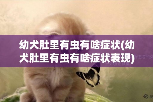 幼犬肚里有蟲有啥癥狀(幼犬肚里有蟲有啥癥狀表現)