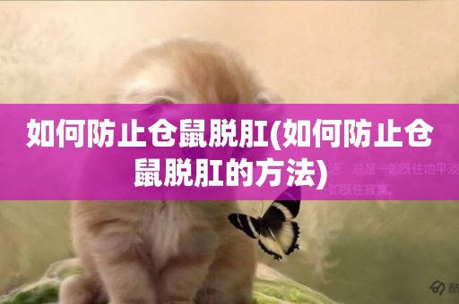 如何防止倉鼠脫肛(如何防止倉鼠脫肛的方法)