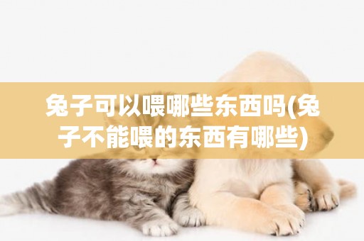 兔子可以喂哪些東西嗎(兔子不能喂的東西有哪些)