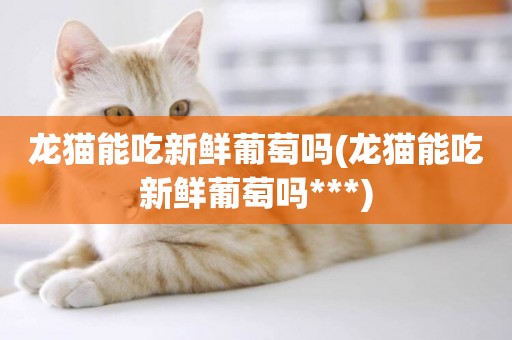龍貓能吃新鮮葡萄嗎(龍貓能吃新鮮葡萄嗎***)