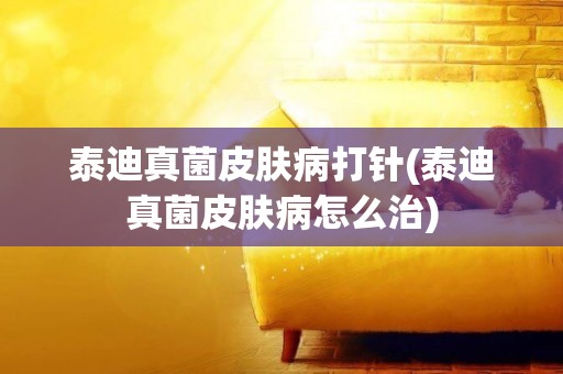 泰迪真菌皮膚病打針(泰迪真菌皮膚病怎么治)