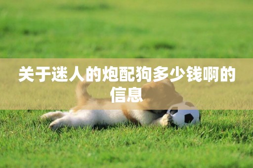 關于迷人的炮配狗多少錢啊的信息