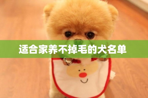 適合家養不掉毛的犬名單 