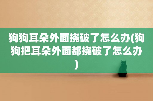 狗狗耳朵外面撓破了怎么辦(狗狗把耳朵外面都撓破了怎么辦)