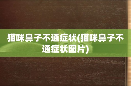 貓咪鼻子不通癥狀(貓咪鼻子不通癥狀圖片)