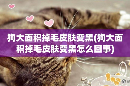 狗大面積掉毛皮膚變黑(狗大面積掉毛皮膚變黑怎么回事)