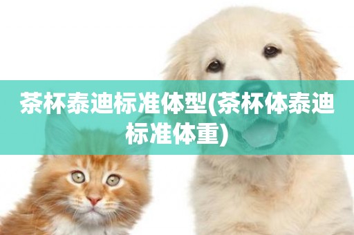 茶杯泰迪標準體型(茶杯體泰迪標準體重)