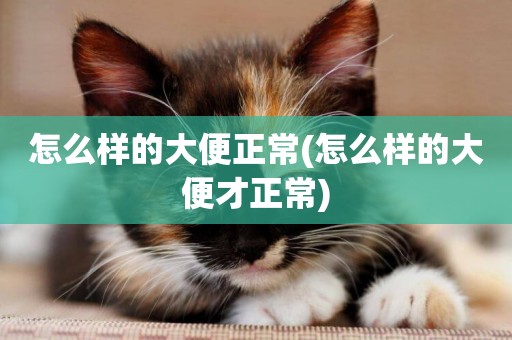 怎么樣的大便正常(怎么樣的大便才正常)